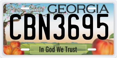 GA license plate CBN3695