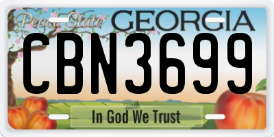 GA license plate CBN3699
