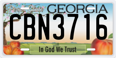 GA license plate CBN3716