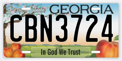 GA license plate CBN3724