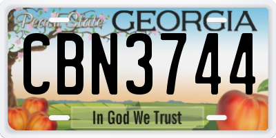 GA license plate CBN3744
