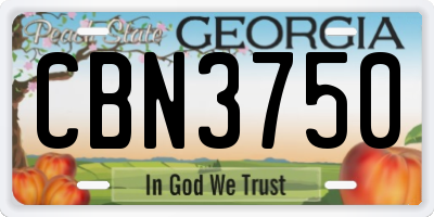 GA license plate CBN3750