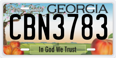GA license plate CBN3783
