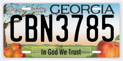 GA license plate CBN3785