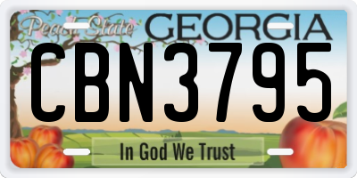 GA license plate CBN3795