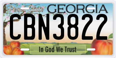GA license plate CBN3822