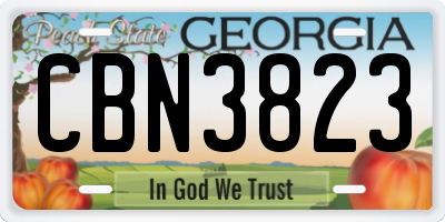 GA license plate CBN3823