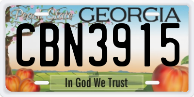 GA license plate CBN3915