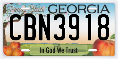 GA license plate CBN3918
