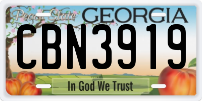 GA license plate CBN3919