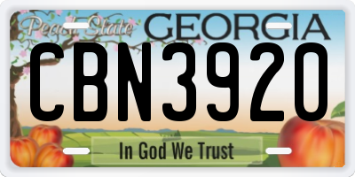 GA license plate CBN3920