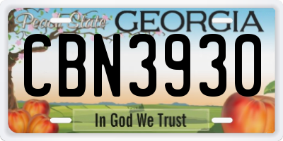 GA license plate CBN3930