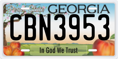 GA license plate CBN3953