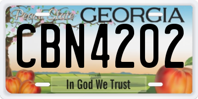 GA license plate CBN4202