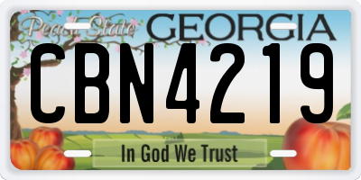 GA license plate CBN4219
