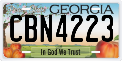 GA license plate CBN4223