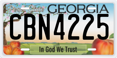 GA license plate CBN4225