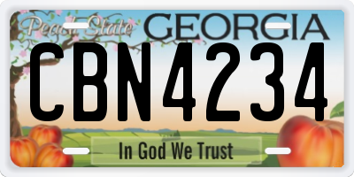 GA license plate CBN4234