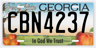 GA license plate CBN4237
