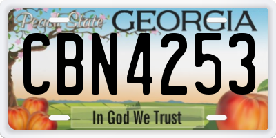 GA license plate CBN4253
