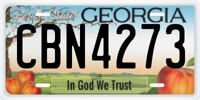 GA license plate CBN4273