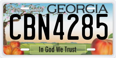 GA license plate CBN4285