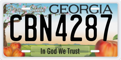 GA license plate CBN4287