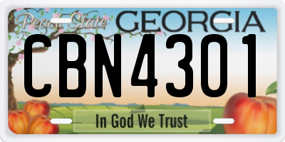 GA license plate CBN4301