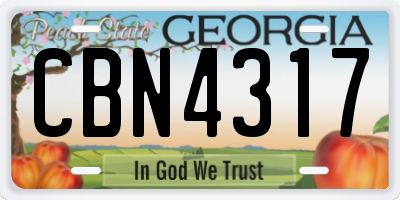 GA license plate CBN4317