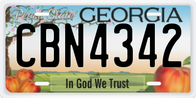 GA license plate CBN4342