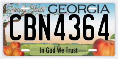 GA license plate CBN4364