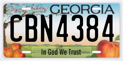 GA license plate CBN4384