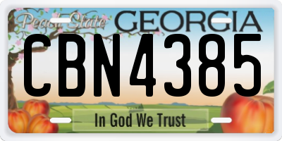 GA license plate CBN4385