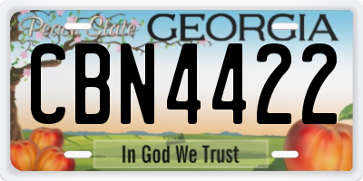 GA license plate CBN4422