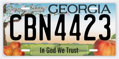 GA license plate CBN4423
