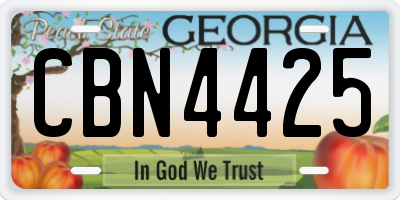GA license plate CBN4425