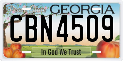 GA license plate CBN4509
