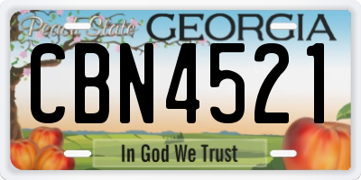 GA license plate CBN4521