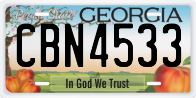 GA license plate CBN4533