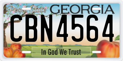 GA license plate CBN4564