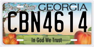 GA license plate CBN4614