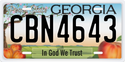 GA license plate CBN4643