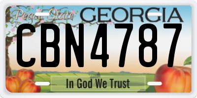 GA license plate CBN4787