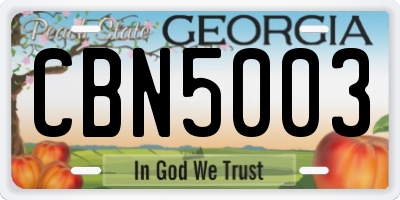 GA license plate CBN5003