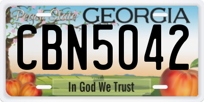 GA license plate CBN5042