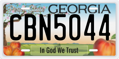 GA license plate CBN5044
