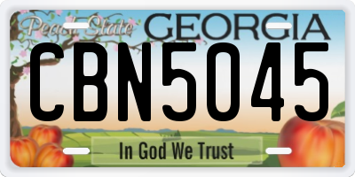 GA license plate CBN5045