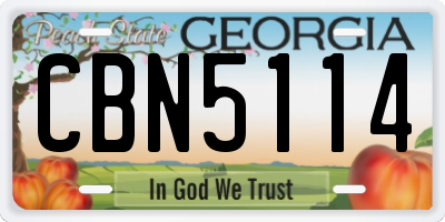 GA license plate CBN5114