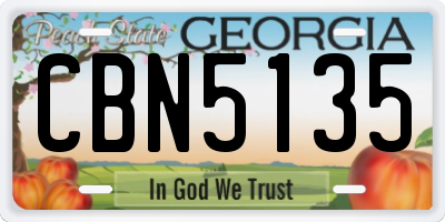 GA license plate CBN5135