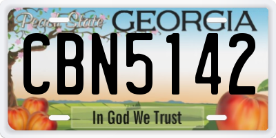 GA license plate CBN5142